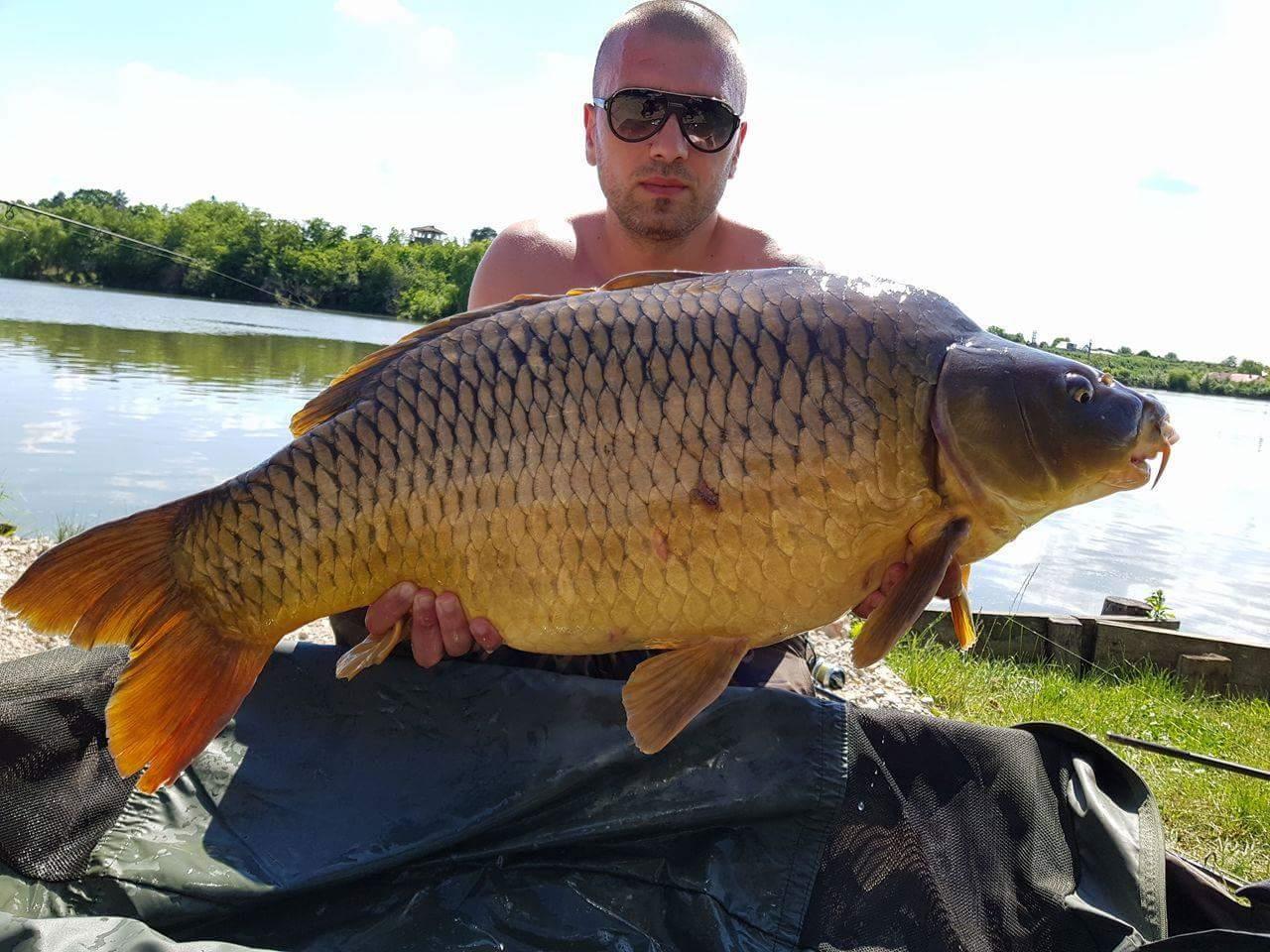 Hermes Peris - received1349896441714257.jpeg